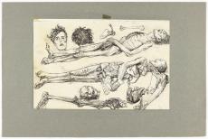 Cadavres et membres 20929-358